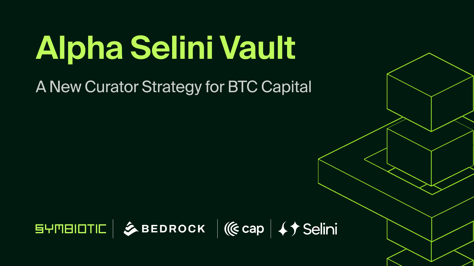 case_study_alpha_selini_vault